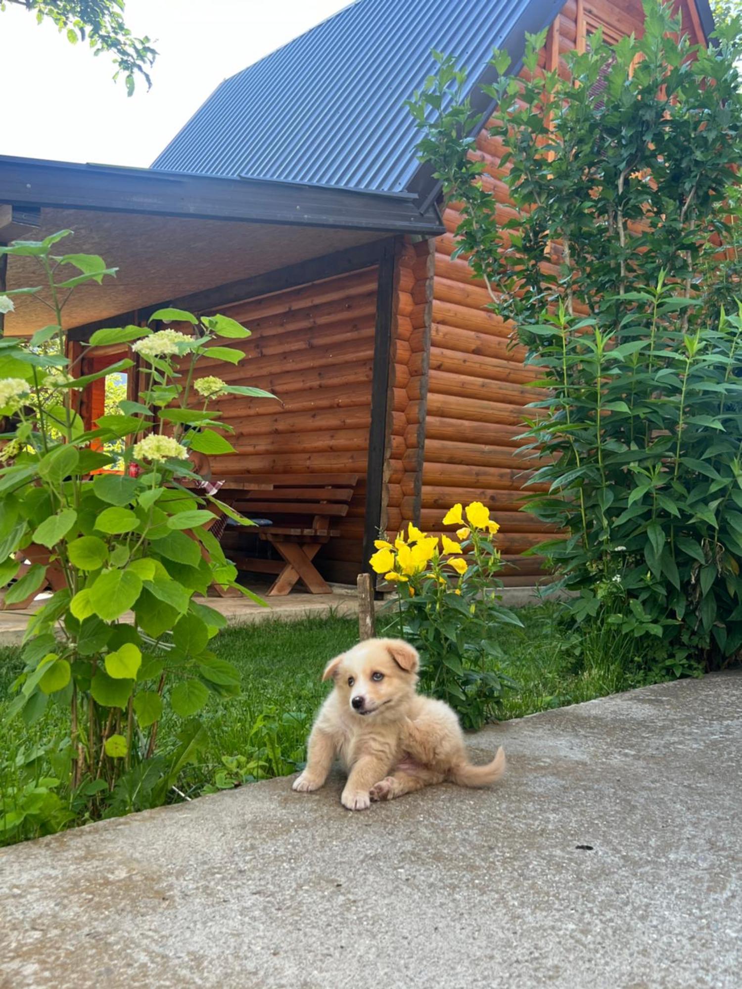 Guest House Kollata Vuthaj Kültér fotó